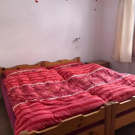 Haus Antares 아파트 사스-알마겔